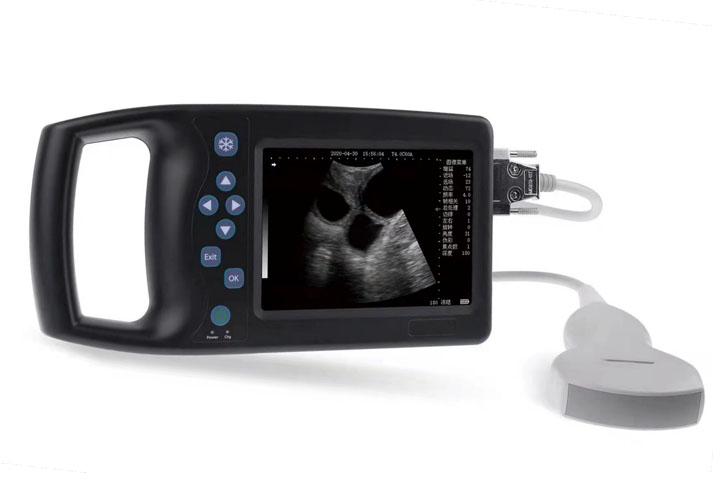 BU102 Handheld Type B Ultrasone scanner voor dierenarts