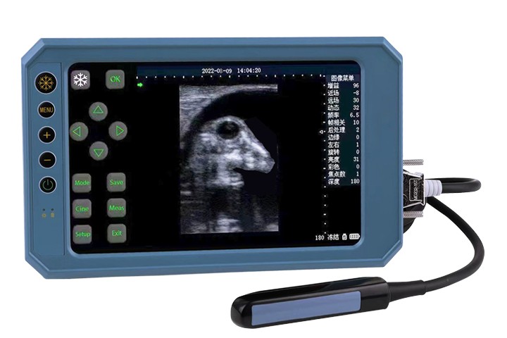 BU403T Handheld Type B Ultrasone Scanner Met aanraakgevoelig scherm en 6,5 MHz rectale lineaire array-sonde voor diergeneeskundig gebruik