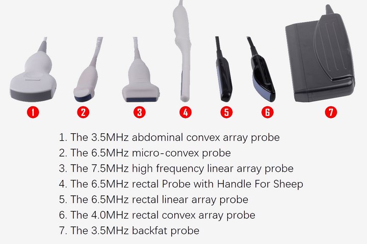 electronic probe transducer for veterinary B ultrasonic machine