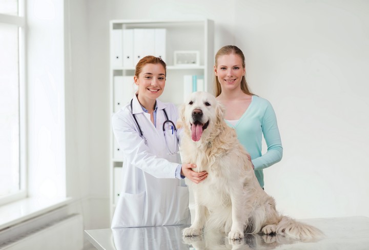 Haswell is de beste fabrikant van veterinaire medische apparatuur uit China